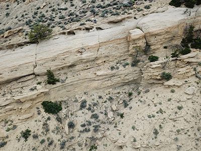 elk basin